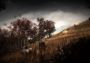 Slender: The Arrival United States Xbox One/Series Digital Key