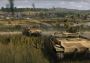 Steel Division 2 - History Pass Global GOG Digital Key