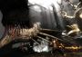 Bound by Flame Global Steam Digital Key