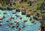 Age of Empires Definitive Edition Global Xbox Windows Digital Key