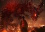 Wo Long: Fallen Dynasty Deluxe Edition Global Xbox One/Series/Windows Digital Key