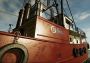 Fishing: North Atlantic - Scallops DLC Global Steam Digital Key