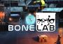 BoneLab VR EU Steam Digital Key