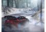 WRC 7  EU Steam Digital Key