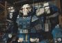 Mechwarrior 5: Mercenaries Turkey Steam Digital Key