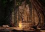 Dark Souls 2: Scholar of the First Sin Brazil Xbox One/Series Digital Key