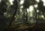 Risen 1 EN Argentina Xbox One/Series Digital Key