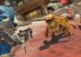 Apex Legends - Escape Pack DLC Global Steam Digital Key
