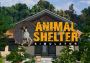 Animal Shelter Simulator EN EU Xbox One/Series Digital Key
