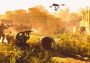 Tom Clancy’s The Division 2 6500 Premium Credits Xbox One/Series Digital Key
