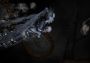The Prisoner of the Night EN/PT/ES Global Steam Digital Key