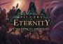 Pillars of Eternity Champion Edition Global Steam Digital Key