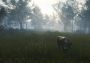 theHunter: Call of the Wild - Te Awaroa National Park DLC Argentina Xbox One/Series Digital Key