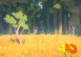 Sunlight EN EU Steam Digital Key
