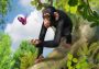 Zoo Tycoon EN Argentina Xbox One/Series Digital Key
