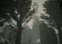 No70: Eye of Basir EN/DE/FR/ZH Global Steam Digital Key