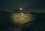 theHunter: Call of the Wild - High-Tech Hunting Pack DLC Argentina Xbox One/Series Digital Key