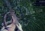 Dark Shores EN Global Steam Digital Key