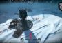 Frostpunk EMEA Steam Digital Key