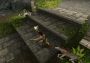 Tomb Raider I EU Steam Digital Key