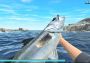 Reel Fishing: Road Trip Adventure Global Steam Digital Key
