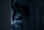 Dead by Daylight - Alien Chapter Pack DLC Turkey Xbox One/Series Digital Key