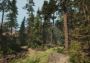 A Walk in the Woods VR EN Global Steam Digital Key