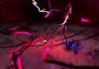 The Serpent Rogue EN Global Steam Digital Key