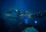 Aquanox Deep Descent Collector's Edition EN Global Steam Digital Key