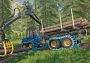 Farming Simulator 19 - Rottne DLC EN Global Steam Digital Key