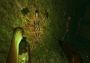 Overcast: Walden and the Werewolf EN Global Steam Digital Key