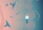 Ophidia EN Global Steam Digital Key