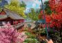 Animallica EN Global Steam Digital Key