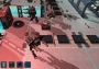 Cybernetica EN Global Steam Digital Key