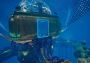 Mythic Ocean EN Global Steam Digital Key