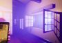 Alterity Experience EN/FR Global Steam Digital Key