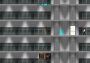 The Yellow Ladder EN Global Steam Digital Key