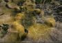 Lost Scavenger EN/RU Global Steam Digital Key