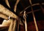 Dark Tales from México: Prelude. Just a Dream... with The Sack Man EN/ES Global Steam Digital Key