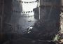 A Plague Tale: Requiem Standard and PreOrder Bonus Edition Global Steam Digital Key