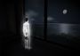 The Novelist EN Global Steam Digital Key