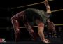 WWE 2K17 - Season Pass DLC EU Steam Digital Key