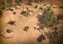 Codename: Panzers Phase Two Global Steam Digital Key