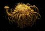 Samorost 3 EN/DE/FR/IT/PT/ES Global Steam Digital Key
