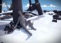 The Witness EN/DE/FR/IT/PL/CS Argentina Xbox One/Series Digital Key