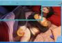 Miss Furry Global Steam Digital Key