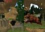 Caveman World: Mountains of Unga Boonga EN Global Steam Digital Key