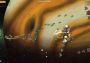 Space Elite Force 2 in 1 Argentina Xbox One/Series Digital Key
