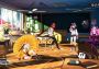 Zengeon EN/JA/KO/ZH/ZH Global Steam Digital Key