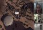 Survivalist EN Global Steam Digital Key